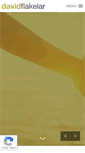 Mobile Screenshot of davidflakelar.com